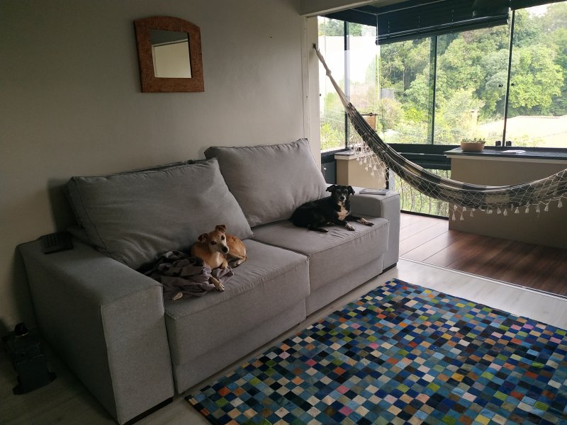 Apartamento à venda Hamburgo Velho com 65m² e 2 quartos por R$ 265.000 - 486502381-img-20200913-143556.jpg