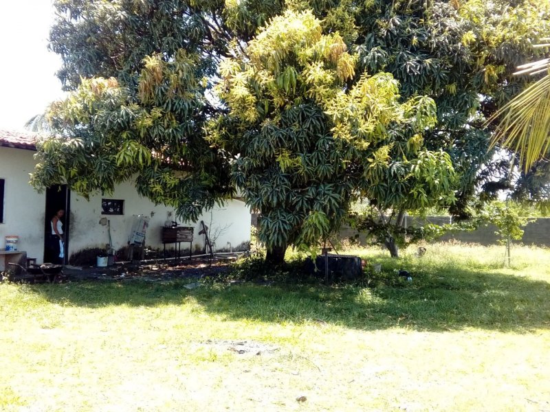 Sítio à venda Povoado pedras  com 2m² e 4 quartos por R$ 450.000 - 359813666-f54440fa-3c5c-4f00-8025-640354c01d8a.jpg