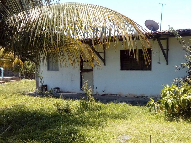 Sítio à venda Povoado pedras  com 2m² e 4 quartos por R$ 450.000 - 363161465-1094fb19-756e-4184-9f13-725c1368c973.jpg