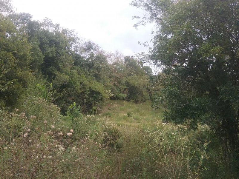 Chácara à venda Centro com 10000m² e 1 quarto por R$ 167.000 - 1172860891-20200414-162259.jpg