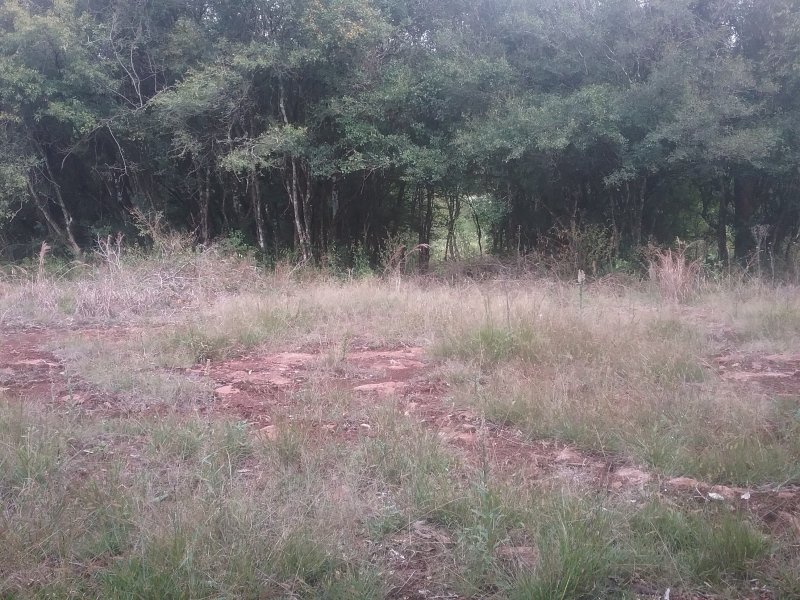 Chácara à venda Centro com 10000m² e 1 quarto por R$ 167.000 - 1641300723-20200414-161829.jpg