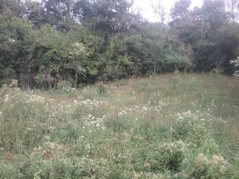 Chácara à venda Centro com 10000m² e 1 quarto por R$ 167.000 - 1980223075-20200414-162020.jpg