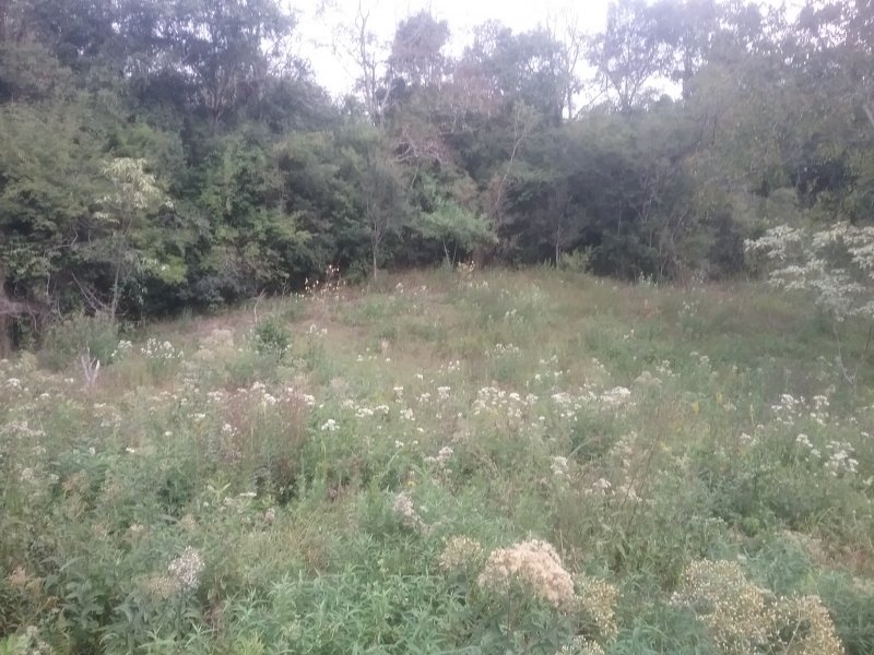 Chácara à venda Centro com 10000m² e 1 quarto por R$ 167.000 - 277884112-20200414-162043.jpg