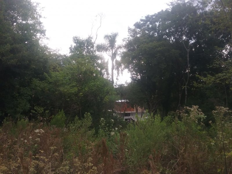 Chácara à venda Centro com 10000m² e 1 quarto por R$ 167.000 - 3081698-20200414-163123.jpg