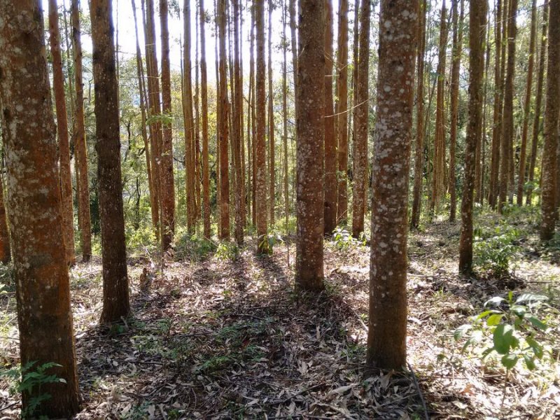 imóvel com 225m² - Centro - Guapiara