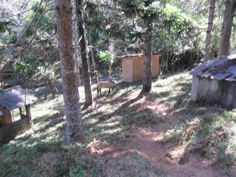Terreno à venda Pouso Frio com 1000m² e  quartos por R$ 450.000 - 1969553563-sam-1169.JPG