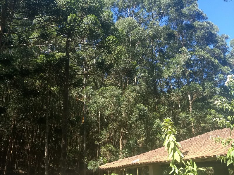 Terreno à venda Pouso Frio com 1000m² e  quartos por R$ 450.000 - 666835430-img-20190420-121253162.jpg