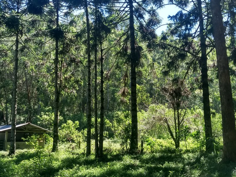 Terreno à venda Pouso Frio com 1000m² e  quartos por R$ 450.000 - 766342760-img-20190420-123249158-hdr.jpg