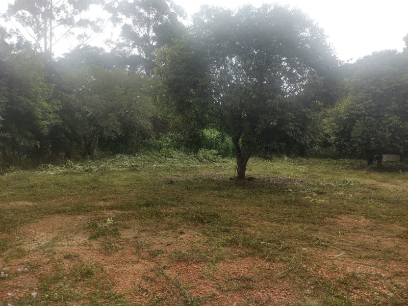Terreno à venda Vila Ipê com 3102m² e 1 quarto por R$ 2.100.000 - 987241192-img-20230302-wa0022.jpg