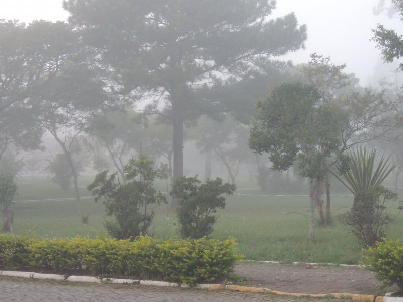 Casa à venda Igará com 340m² e 3 quartos por R$ 850.000 - 1966521993-80-frente-da-casa-no-inverno.jpg