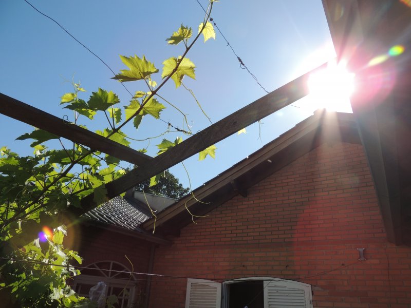 Casa à venda Igará com 340m² e 3 quartos por R$ 850.000 - 391975953-19-patio-fundos.JPG