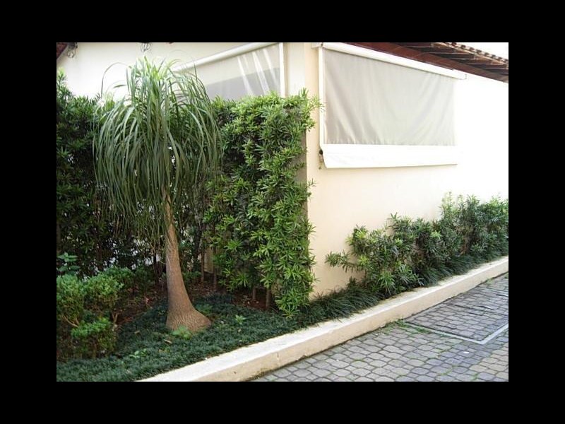 imóvel com 54m² - Vila Gomes Cardim - São Paulo