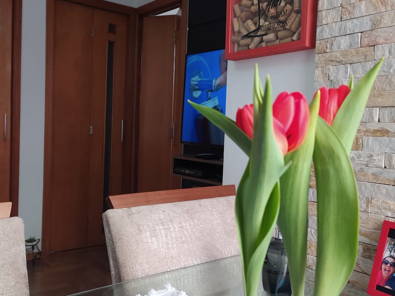 Apartamento à venda Ferrazópolis com 46m² e 2 quartos por R$ 220.000 - 1135029236-img-20200908-090914.jpg