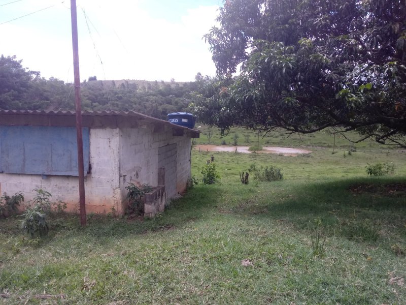Sítio à venda Jardim das Palmeiras com 25m² e 4 quartos por R$ 742.000 - 1163888453-20200103-143903.jpg