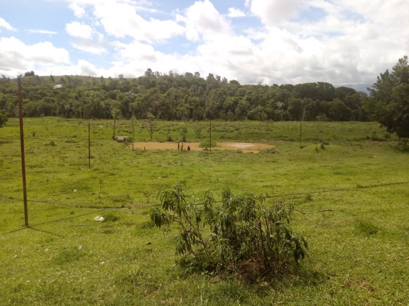 Sítio à venda Jardim das Palmeiras com 25m² e 4 quartos por R$ 742.000 - 1726850111-20200103-144016.jpg