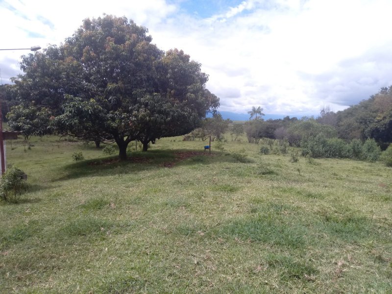 Sítio à venda Jardim das Palmeiras com 25m² e 4 quartos por R$ 742.000 - 1808387361-20200103-143842.jpg