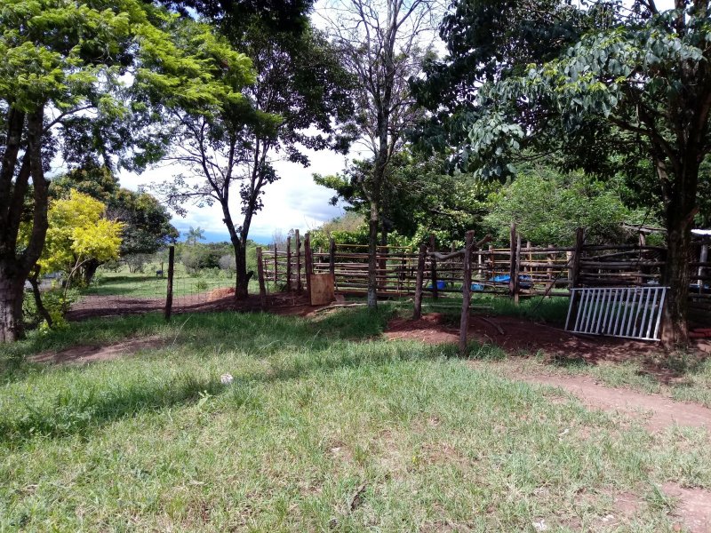 Sítio à venda Jardim das Palmeiras com 25m² e 4 quartos por R$ 742.000 - 2095239126-20200103-143759.jpg