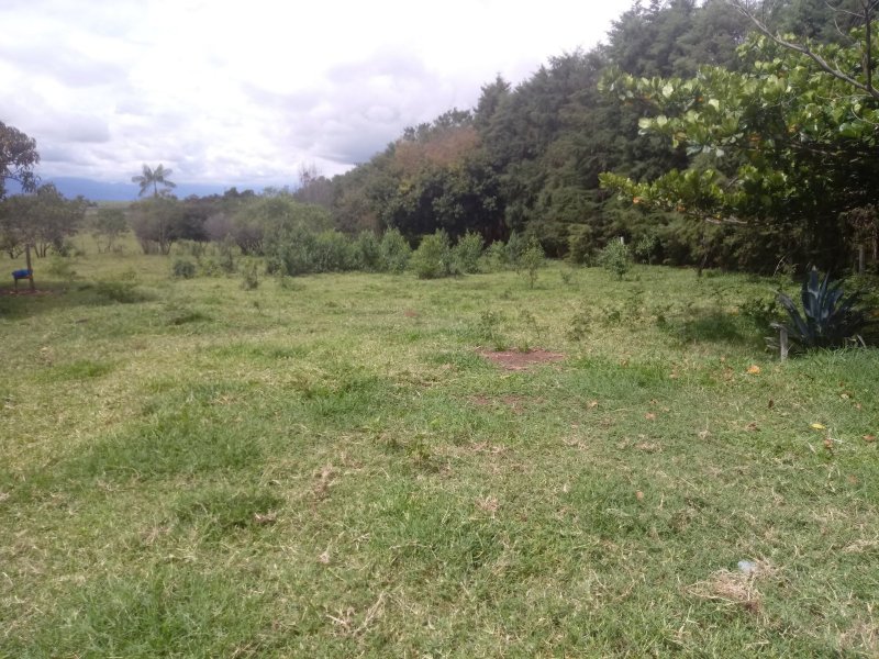 Sítio à venda Jardim das Palmeiras com 25m² e 4 quartos por R$ 742.000 - 559497578-20200103-143846.jpg