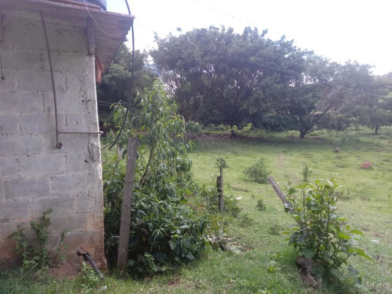 Sítio à venda Jardim das Palmeiras com 25m² e 4 quartos por R$ 742.000 - 910160851-20200103-143934.jpg