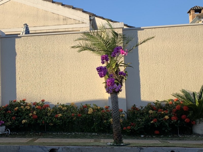 Casa de condomínio à venda Vila Odim Antao com 120m² e 3 quartos por R$ 580.000 - 917977095-c3e1fde5-cd3b-49d2-8f00-5eb0a7df5dd9.jpeg