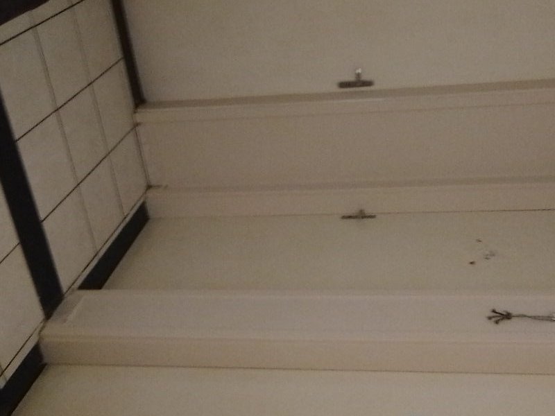 imóvel com 1010m² - Jardim das Bandeiras - Campinas