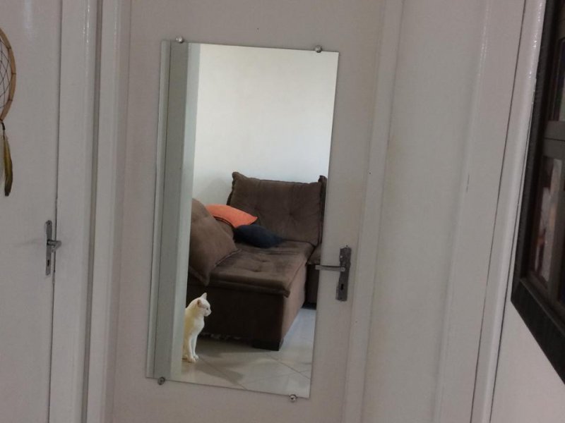Apartamento à venda Parque Císper com 54m² e 2 quartos por R$ 259.000 - 1075673054-acd26df4-efaa-4bec-828e-72f2e4eb1b8f.jpeg