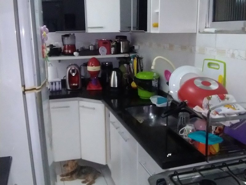 Apartamento à venda Vila Constança com 69m² e 2 quartos por R$ 265.000 - 1982540442-p-20190812-192414.jpg