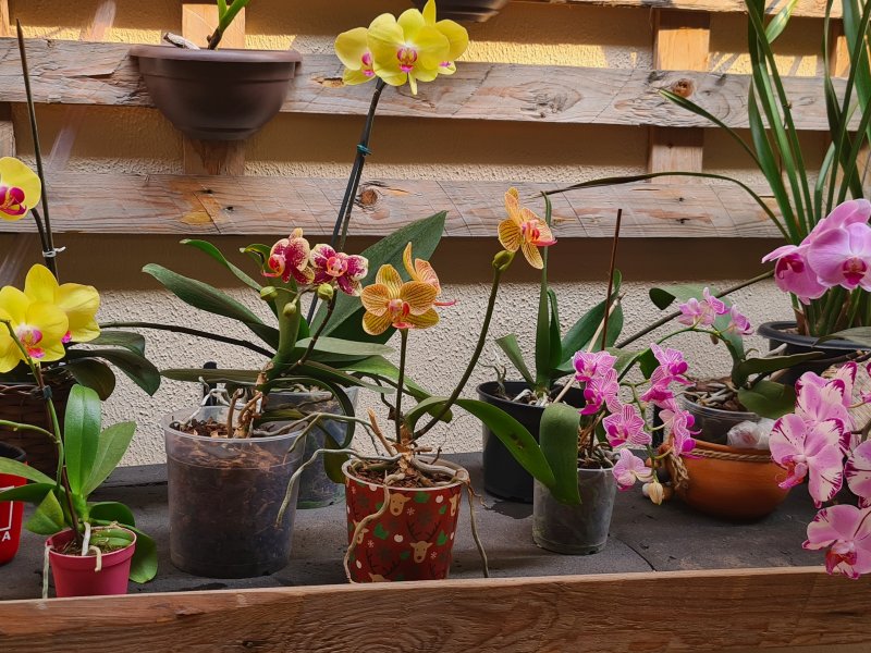 imóvel com 196m² - Jardim Nova Espirito Santo - Valinhos