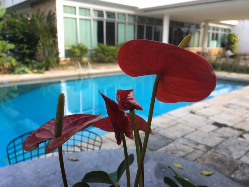 Casa à venda Alto da Boa Vista com 870m² e 127 quartos por R$ 3.300.000 - 1763301517-img-20200625-wa0022.jpg