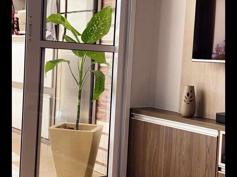 imóvel com 82m² - Tucuruvi - São Paulo