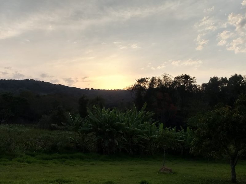 Chácara à venda Itu com 7000m² e 2 quartos por R$ 250.000 - 197814691-8ed7f3d6-a8bd-44b6-8180-e209d04c48f7.jpeg