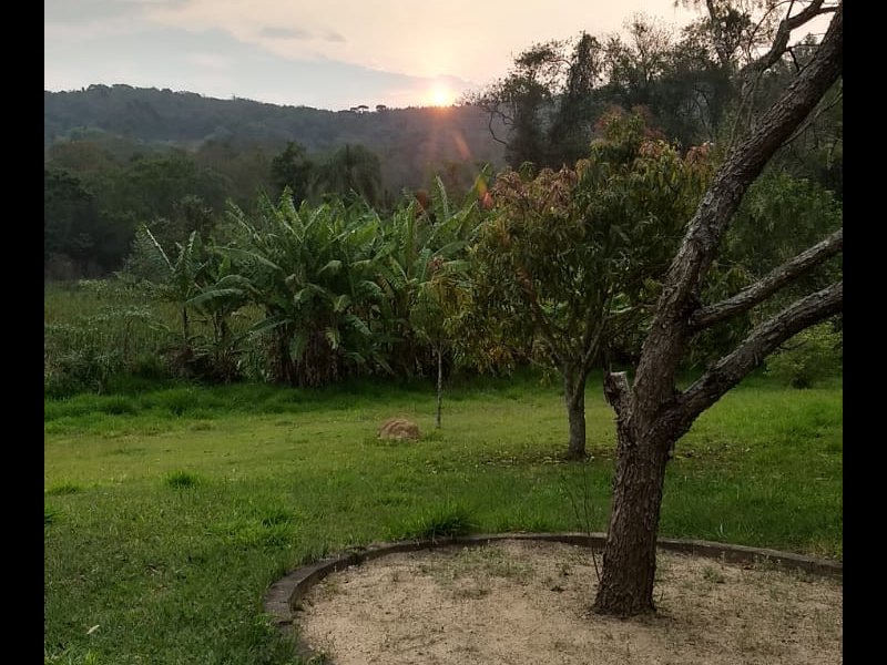 Chácara à venda Itu com 7000m² e 2 quartos por R$ 250.000 - 657667368-3e737419-47c2-4bfc-b2d3-4f7285c2986b.jpeg