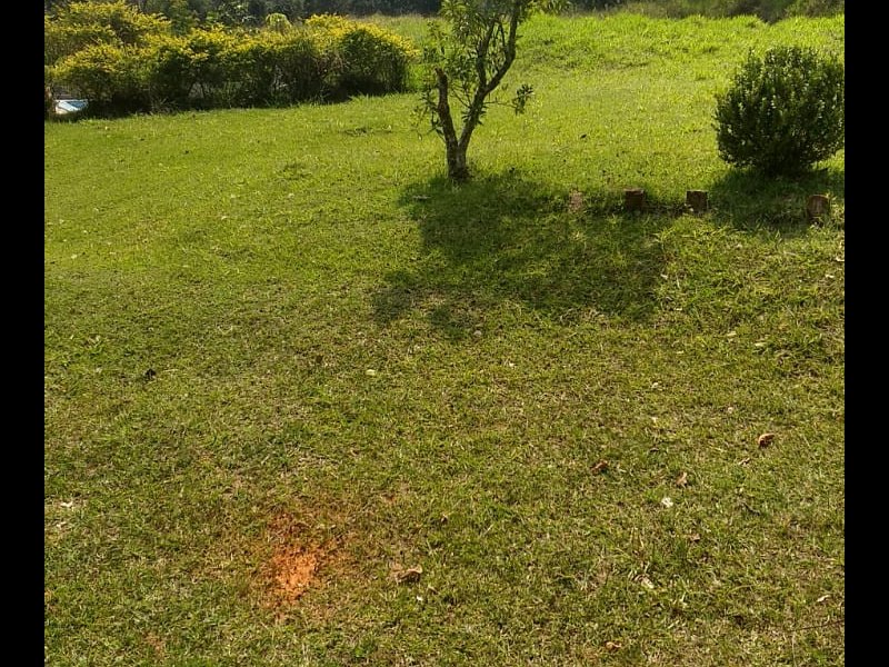 Chácara à venda Itu com 7000m² e 2 quartos por R$ 250.000 - 676686833-9b1c09ff-58e5-46d1-92e5-97237a85979c.jpeg