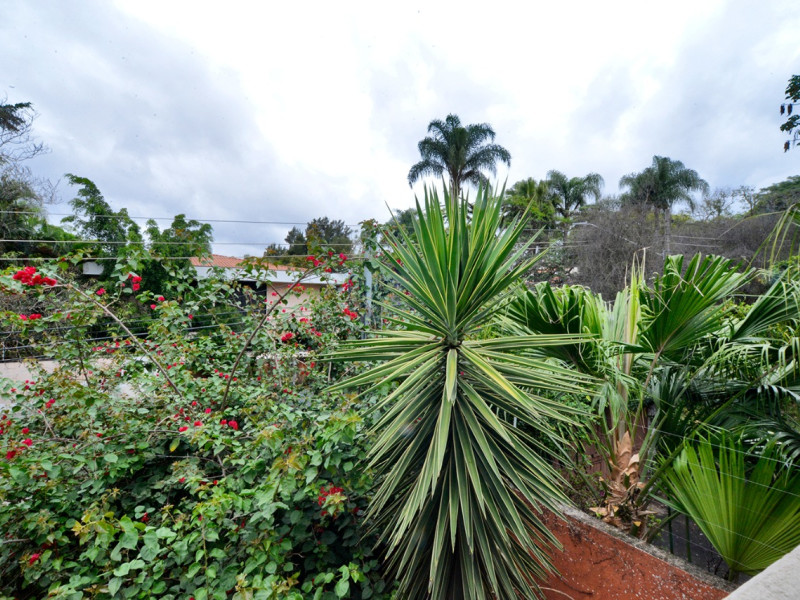Casa à venda Campo Belo com 428m² e 5 quartos por R$ 2.800.000 - img-20201020-wa0086.jpg