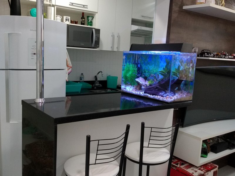 Apartamento à venda Parque Nações Unidas com 44m² e 2 quartos por R$ 230.000 - 788389246-img-20191012-175820314.jpg