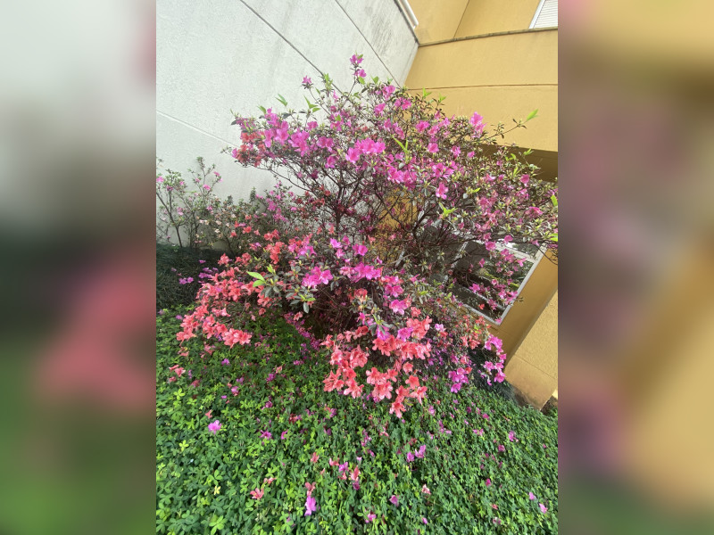 Apartamento à venda Panamby com 57m² e 1 quarto por R$ 570.000 - img-9156.JPEG