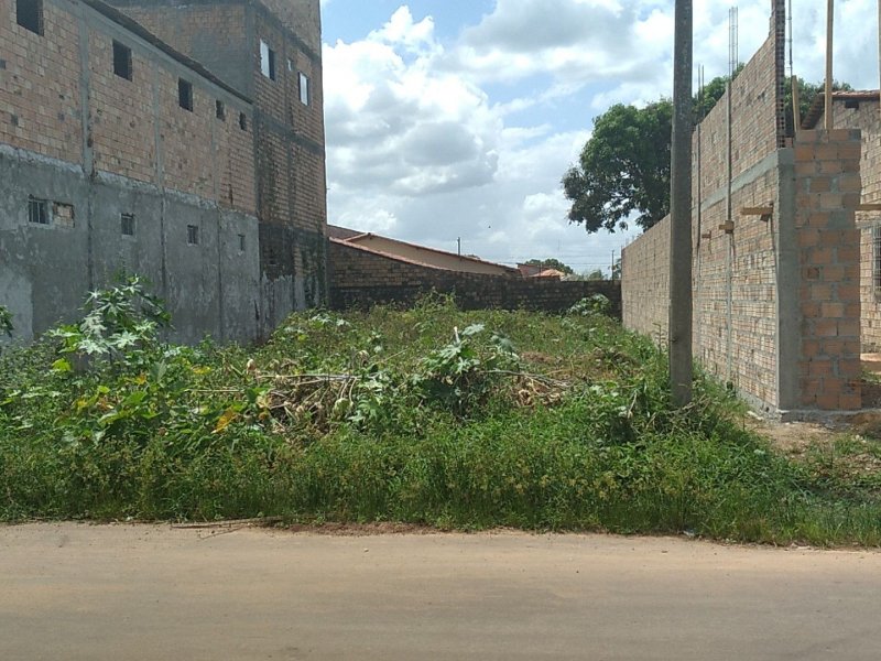 Terreno à venda João Castelo  com 250m² e  quartos por R$ 85.000 - 2103879743-e67df4b6-9f7d-4677-8c93-f6fb38f06ba8.jpg