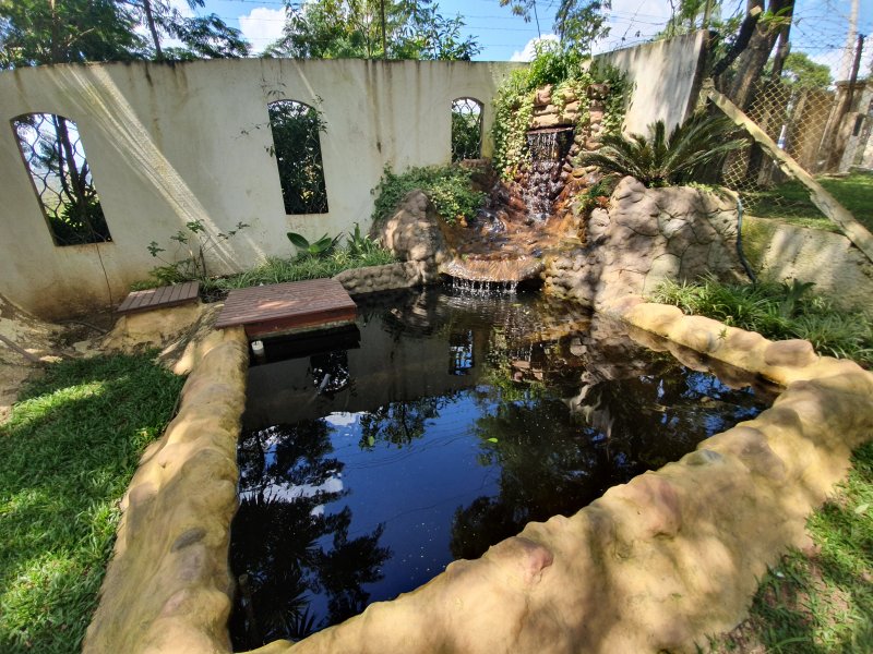 Chácara à venda Gabriel Piza com 1400m² e 6 quartos por R$ 2.990.000 - 1094858728-inbound5872924775696786443.jpg