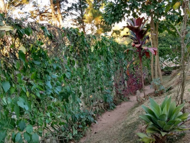 Chácara à venda Portão com 700m² e 2 quartos por R$ 480.000 - 1219413172-img-20200429-wa0030.jpg