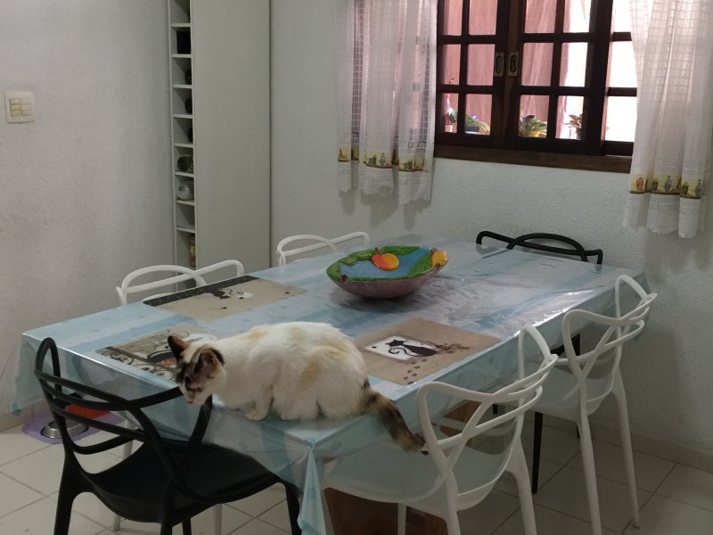 Casa de condomínio à venda Vila Augusta com 150m² e 4 quartos por R$ 800.000 - 86109504-191.JPG