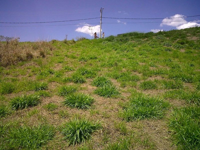 Terreno à venda TAPANHÃO com 1212m² e  quartos por R$ 210.000 - 1757131796-img-20190717-wa0023.jpg