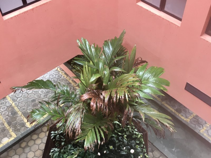 Apartamento à venda Martim de Sá com 70m² e 2 quartos por R$ 400.000 - 583181446-2b99c91b-9d00-4584-873e-364b279f2cd7.jpeg