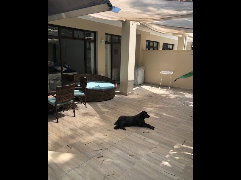 Terreno à venda Loteamento Residencial Fazenda São José com 500m² e  quartos por R$ 850.000 - 1872684321-img-7308.jpg