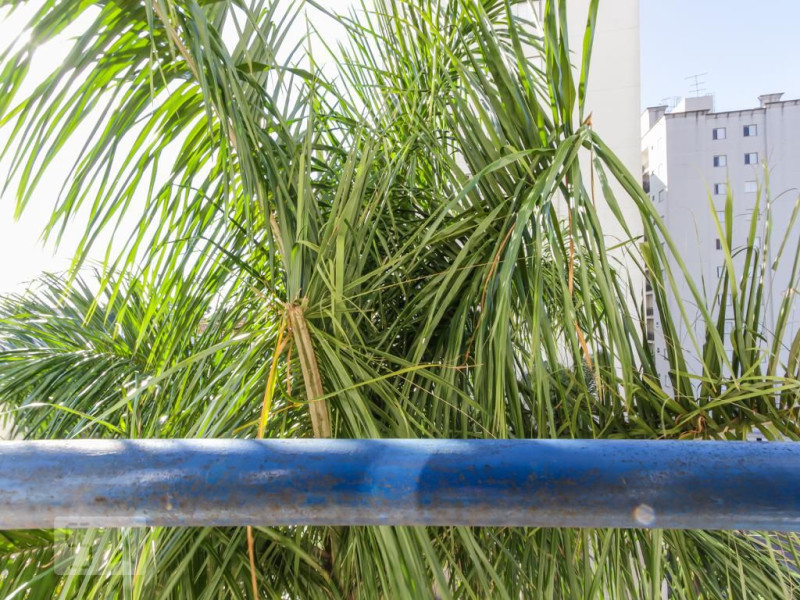 Apartamento à venda Jardim Pinheiros com 45m² e 2 quartos por R$ 260.000 - 892869264-67428045938634img3400.jpg