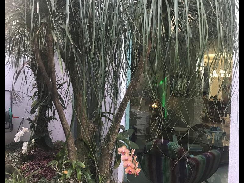 Casa de condomínio à venda Recreio dos Bandeirantes com 629m² e 6 quartos por R$ 2.990.000 - 61967251-jardim-parede-vidro-sl.jpeg