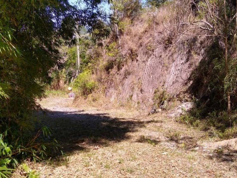 Sítio à venda Pamonã com 130m² e 2 quartos por R$ 400.000 - 1170053461-img-20200902-wa0016.jpg