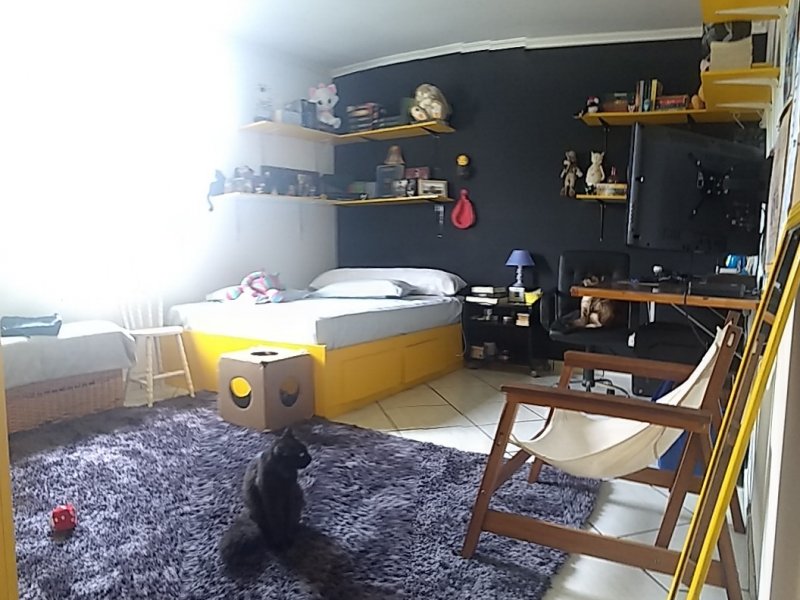 Casa para alugar Santa Paula com 141m² e 3 quartos por R$ 100.000.000 - 582140483-img-20200203-wa0062.jpg