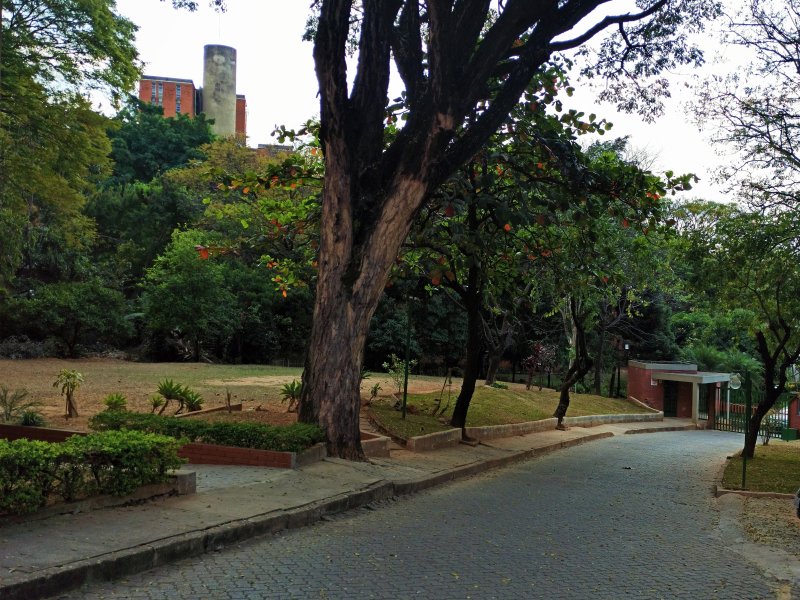 Apartamento à venda Estrela Dalva com 82m² e 3 quartos por R$ 310.000 - 836865295-img-20200820-141659-3.jpg