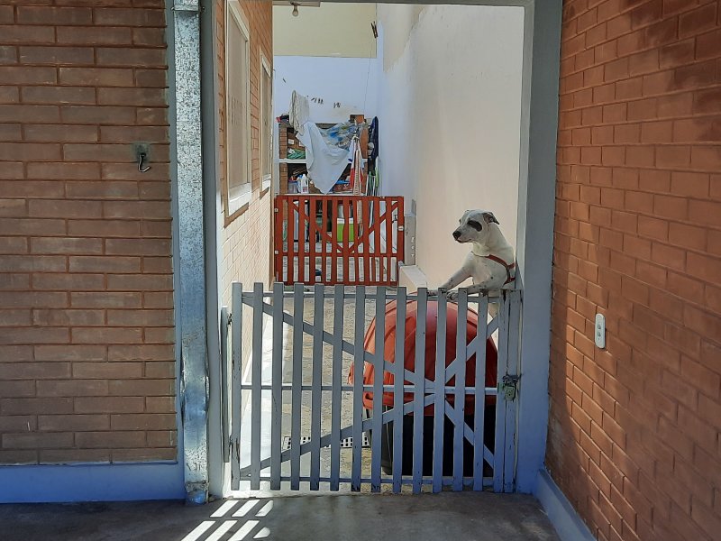 Casa à venda jd. Paulista 1 com 107m² e 2 quartos por R$ 340.000 - 509282583-20200905-103837.jpg