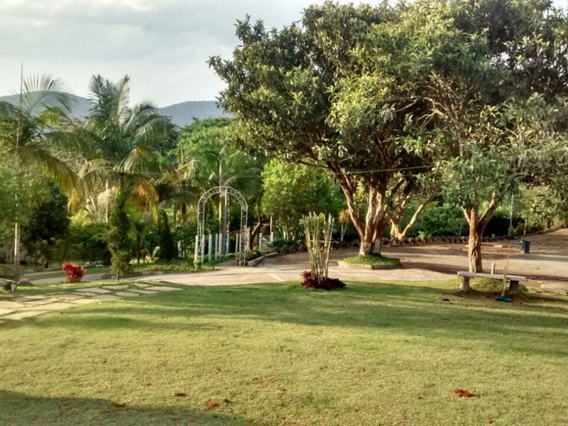 Chácara à venda Recreio Bela Vista com 9m² e 2 quartos por R$ 1.400.000 - 1498463552-img-20190616-wa0141.jpg